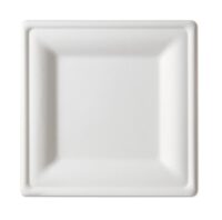 1010SC - 10" Square White Plate Bagasse